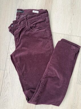 Mavi Corduroy Pants in Plum